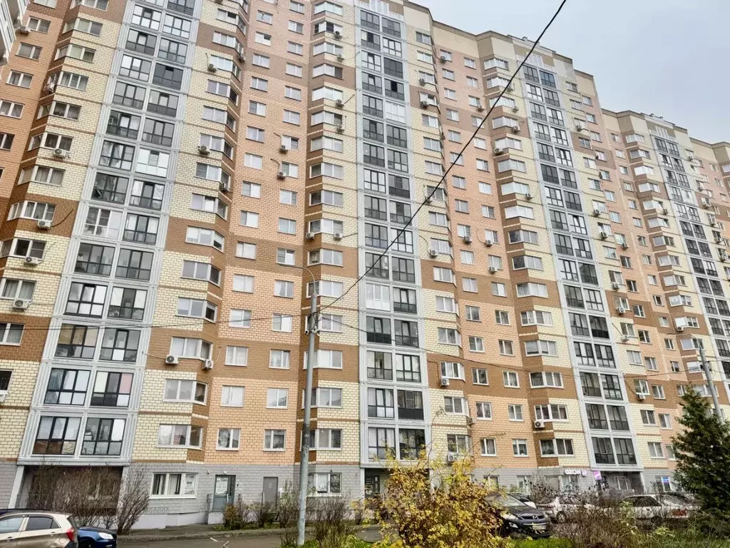 1-к кв. Московская область, Домодедово Южный мкр, ул. Курыжова, 14к1 ... - Фото 1