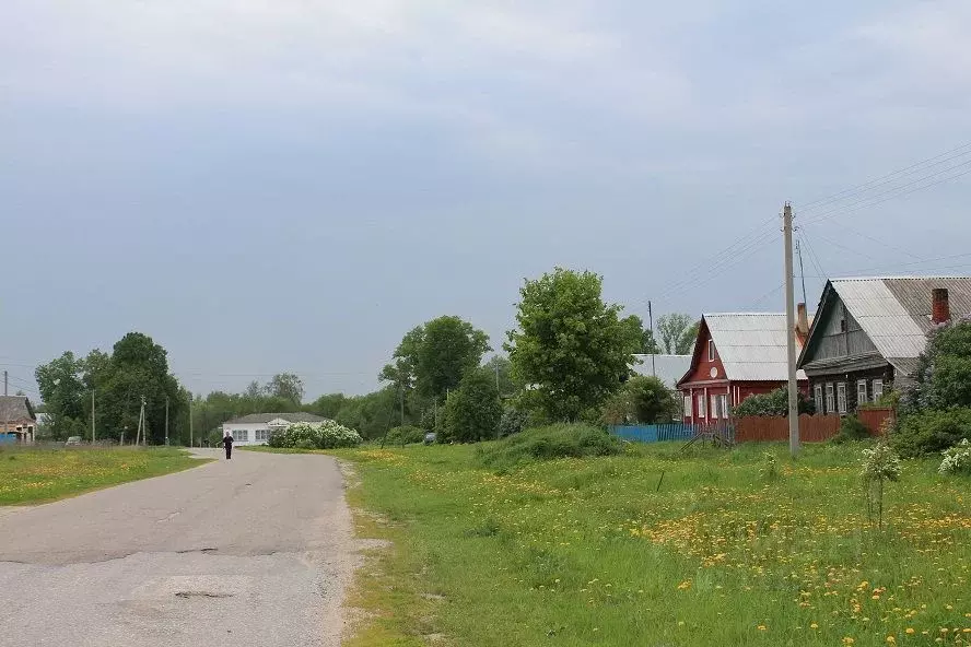 Участок в Владимирская область, Киржачский район, д. Афанасово  (16.0 ... - Фото 0