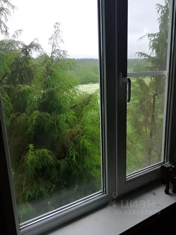 Дом в Ленинградская область, Лужский район, Заклинское с/пос, д. ... - Фото 2