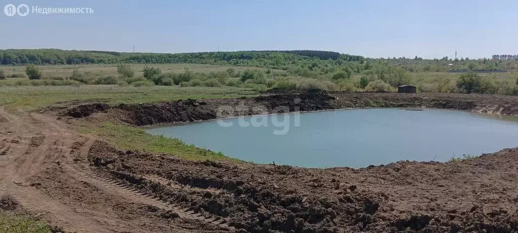 Участок в Лямбирский район, Берсеневское сельское поселение, село ... - Фото 0