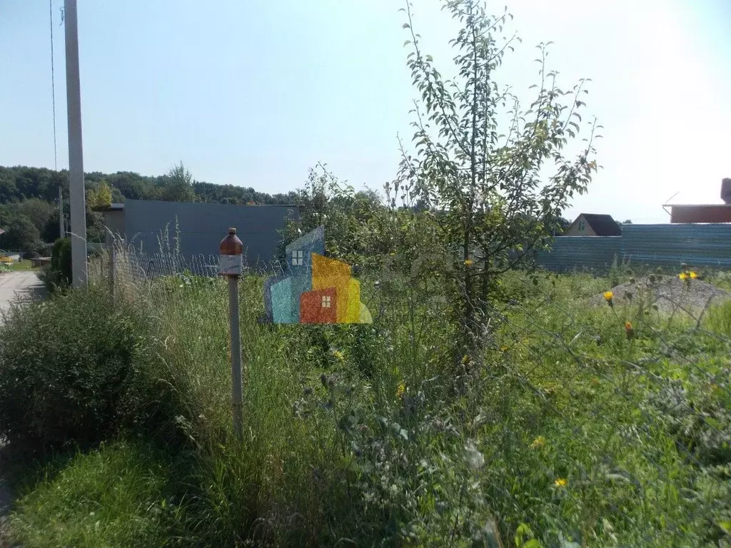 Участок в Тульская область, Алексин городской округ, д. Нижнее ... - Фото 1