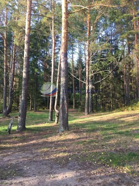 Участок, 24 сот., - Фото 1