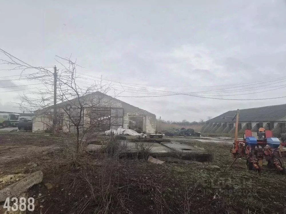 Помещение свободного назначения в Краснодарский край, Северский район, ... - Фото 2