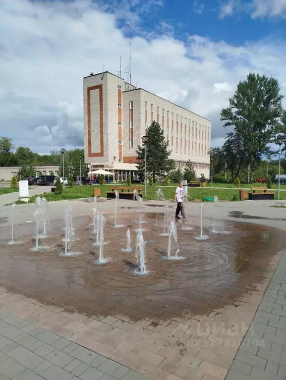 Помещение свободного назначения в Владимирская область, Вязники ... - Фото 1