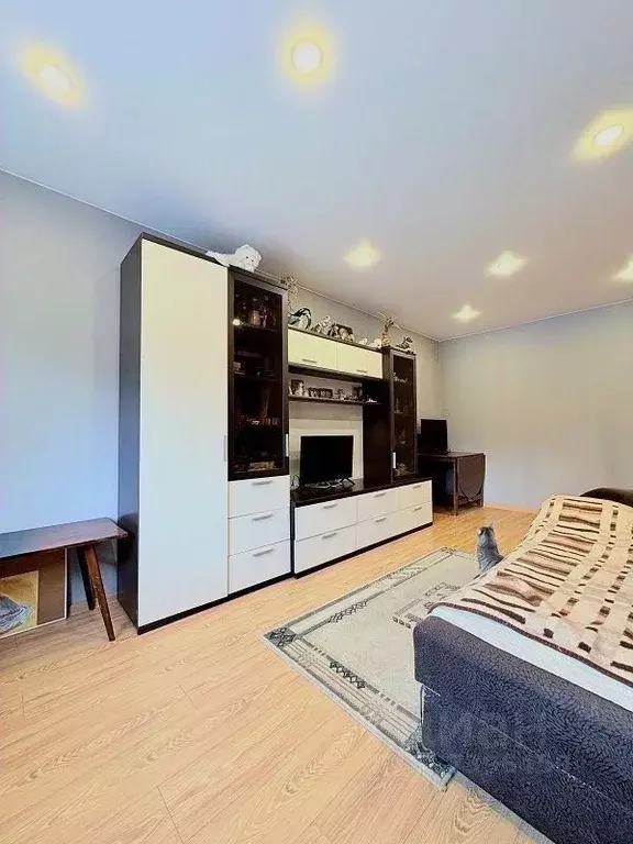 1-к кв. Санкт-Петербург наб. Реки Оккервиль, 6 (52.0 м) - Фото 2