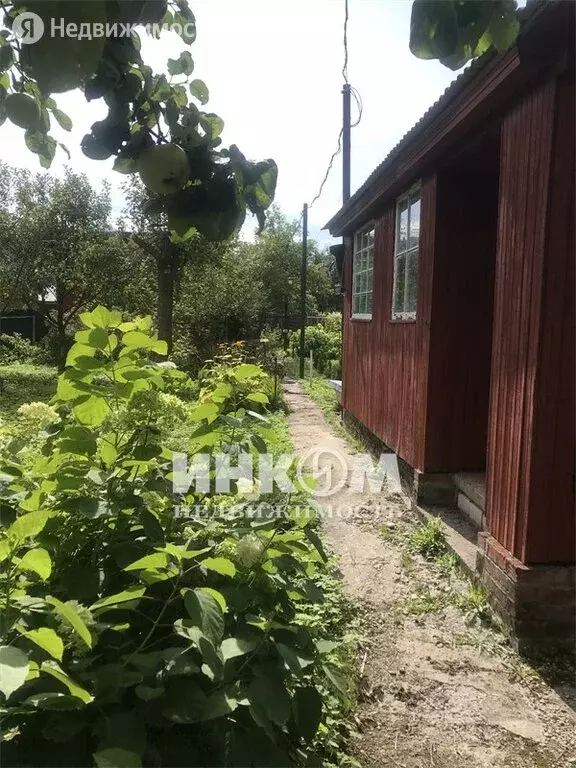 Погода в деревне смолево орехово зуевского