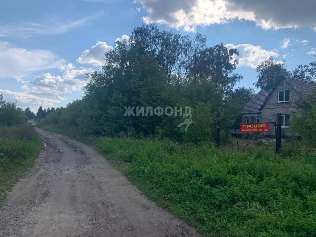 Дом в Алтайский край, Косихинский район, с. Налобиха Зеленая ул. (150 ... - Фото 1