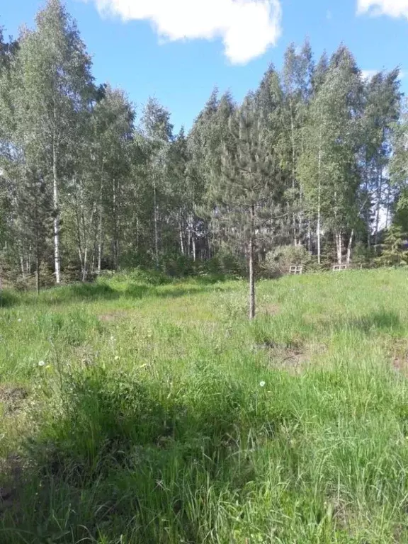 Участок в Московская область, Солнечногорск городской округ, Звездочка ... - Фото 1