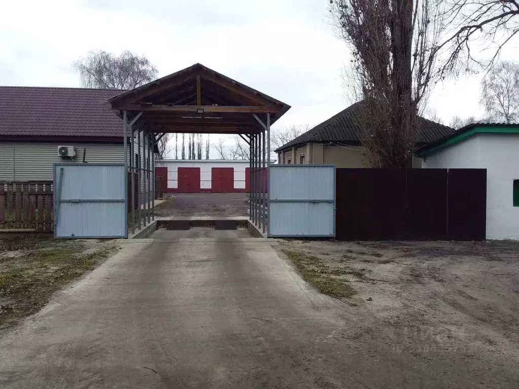 Помещение свободного назначения в Воронежская область, Бобровский ... - Фото 0