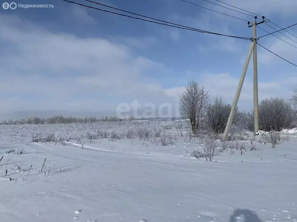 Участок в Лямбирский район, Берсеневское сельское поселение, село ... - Фото 1