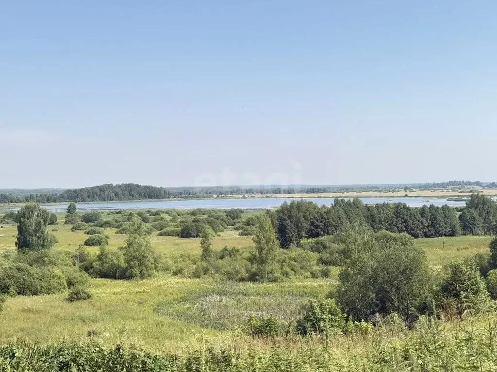 Дом в Костромская область, Нерехтский район, Волжское с/пос, д. Ченцы ... - Фото 1