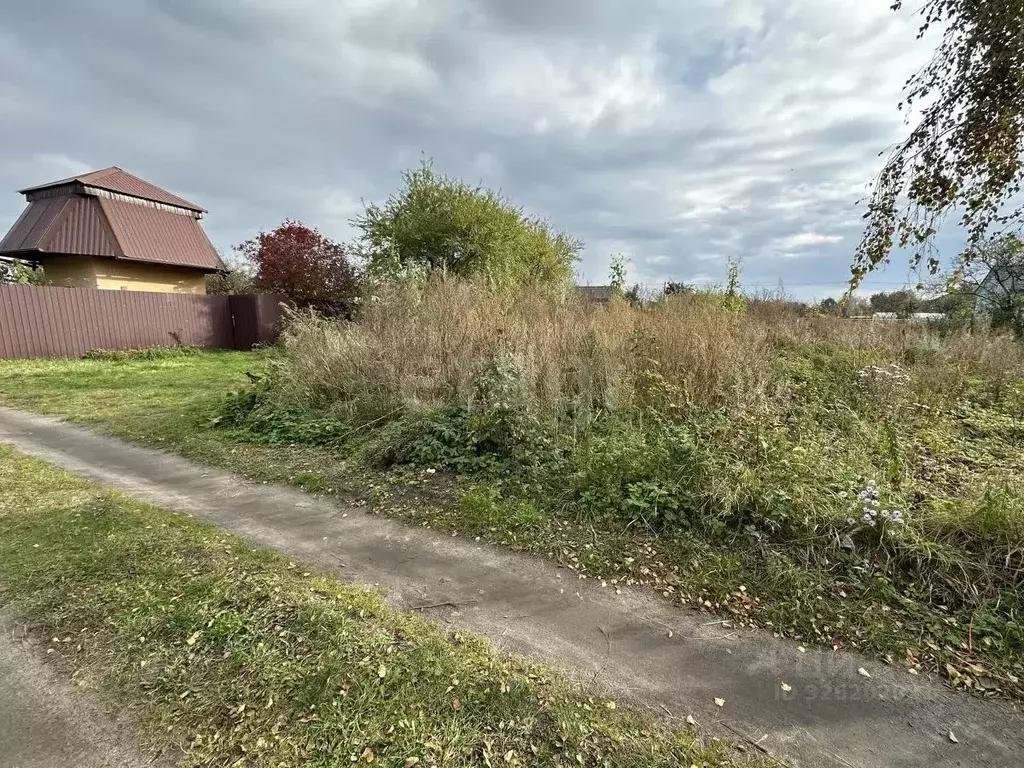 Участок в Калининградская область, Балтийск ул. Ажиновая (8.11 сот.) - Фото 1