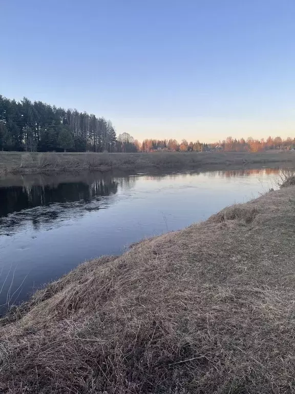 Участок в Тверская область, Калининский муниципальный округ, д. ... - Фото 2