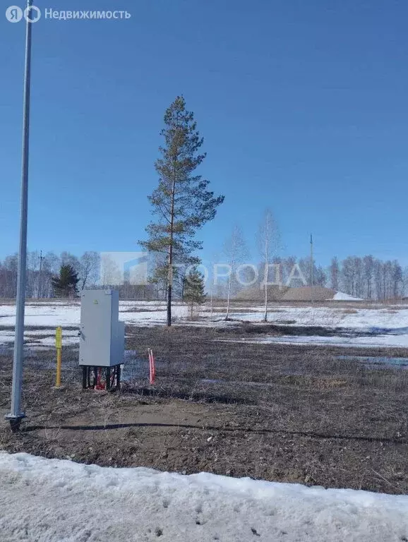 Участок в село Фирсово, Пионовая улица, 24 (8.2 м) - Фото 2