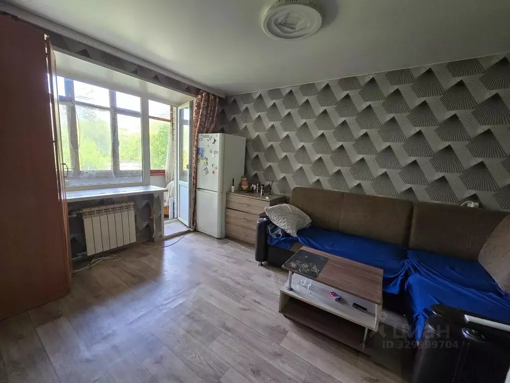 1-к кв. Нижегородская область, Кстово 2-й мкр, 25 (20.8 м) - Фото 1