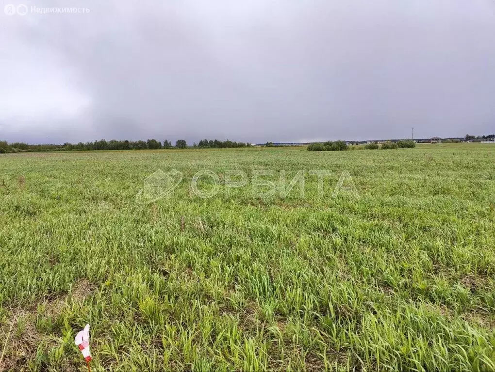 Участок в Тюменский район, деревня Елань (6.95 м) - Фото 1