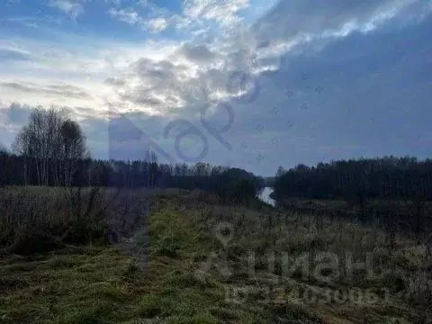 Участок в Нижегородская область, Сокольский муниципальный округ, д. ... - Фото 2