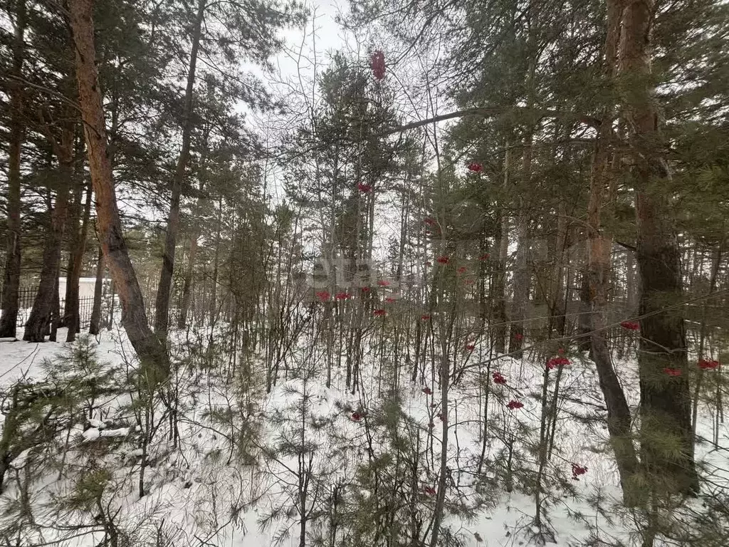 Участок 11,9 сот. (личное подсобное хозяйство (лпх)) - Фото 0