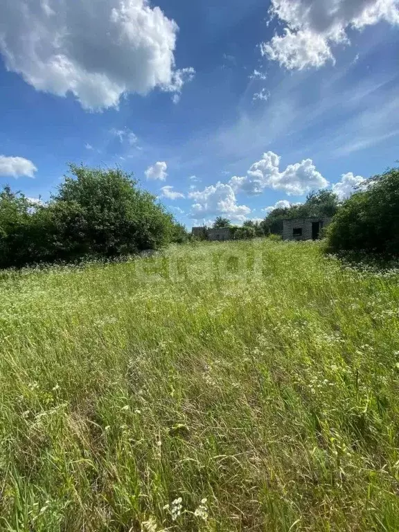 Участок в Белгородская область, Губкин Журавушка СТ,  (6.0 сот.) - Фото 1