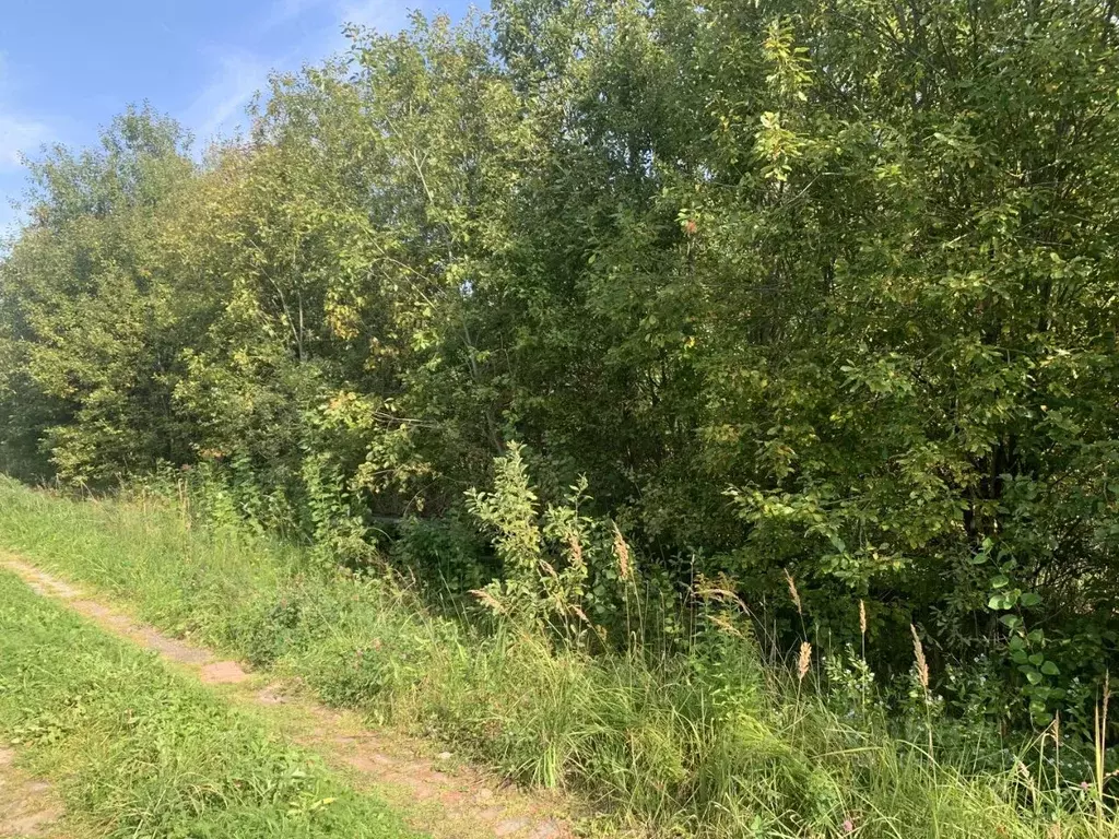 Участок в Московская область, Пушкинский городской округ, д. Цернское  ... - Фото 1
