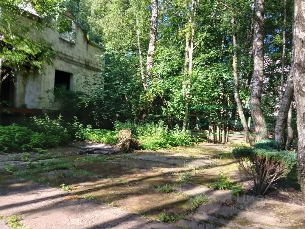 Участок в Калининградская область, Светлогорск Калининградский просп. ... - Фото 2