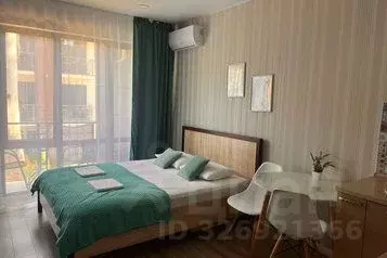 1-к кв. Краснодарский край, Сочи ул. Ленина, 219А/1 (24.0 м) - Фото 1