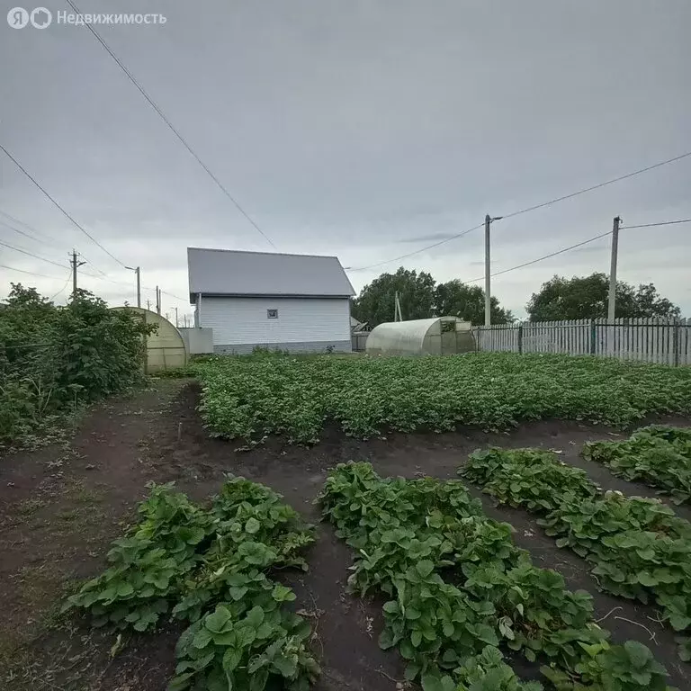 Дом в Курган, микрорайон Глинки, Береговая улица, 3 (64.2 м) - Фото 2