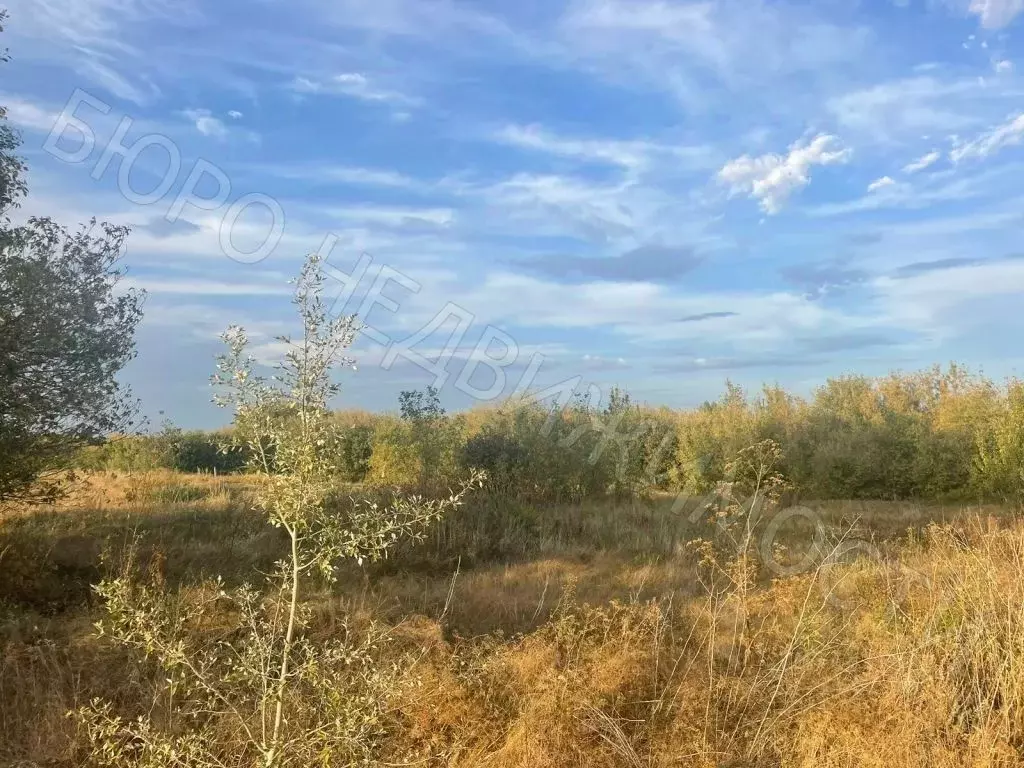 Участок в Саратовская область, Балашовский район, Хоперское ... - Фото 0