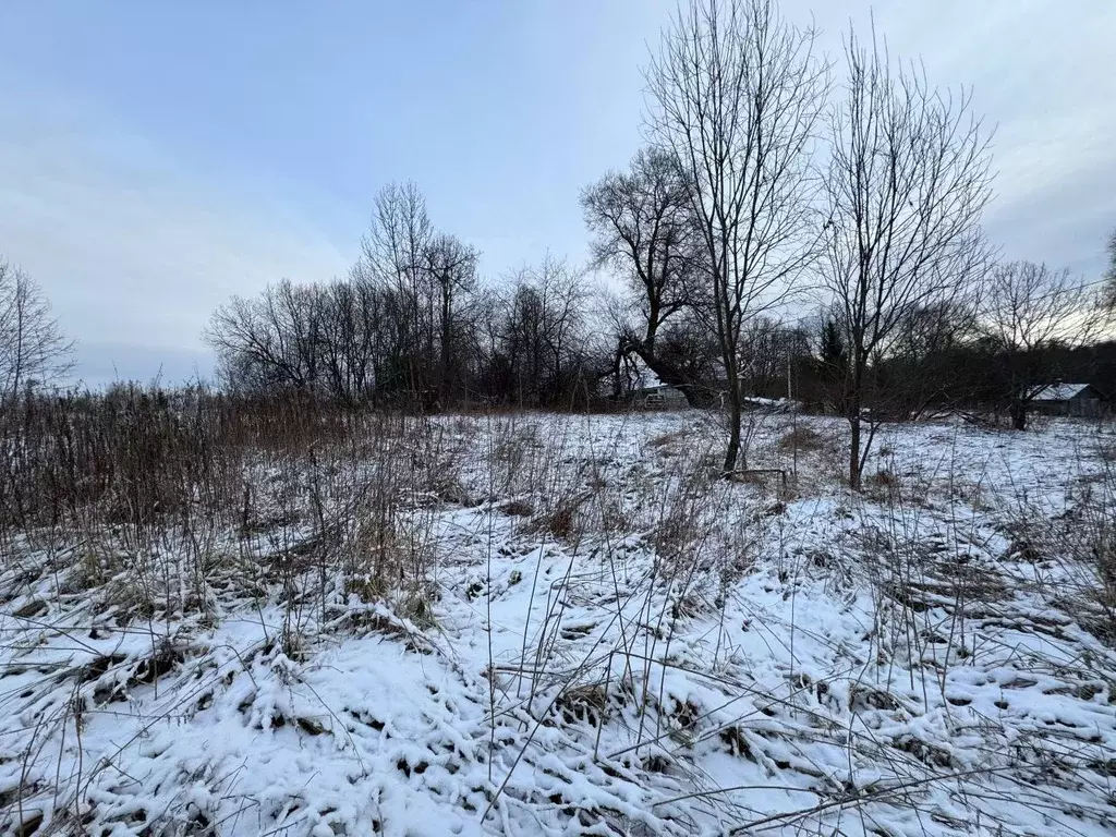 Участок в Московская область, Волоколамский муниципальный округ, с. ... - Фото 2