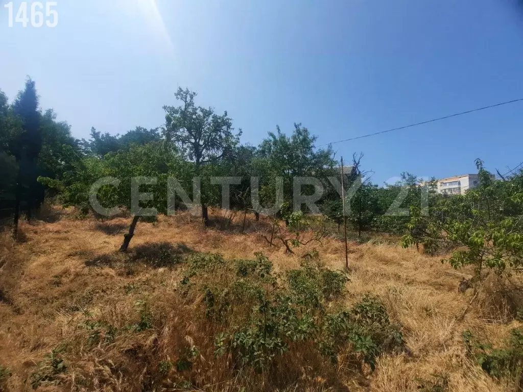 Участок в Севастополь Сосновая роща садоводческое товарищество,  (4.7 ... - Фото 2