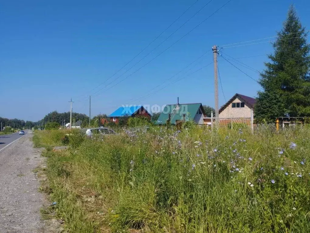 Дом в Новосибирская область, Новосибирский район, Барышевский ... - Фото 0