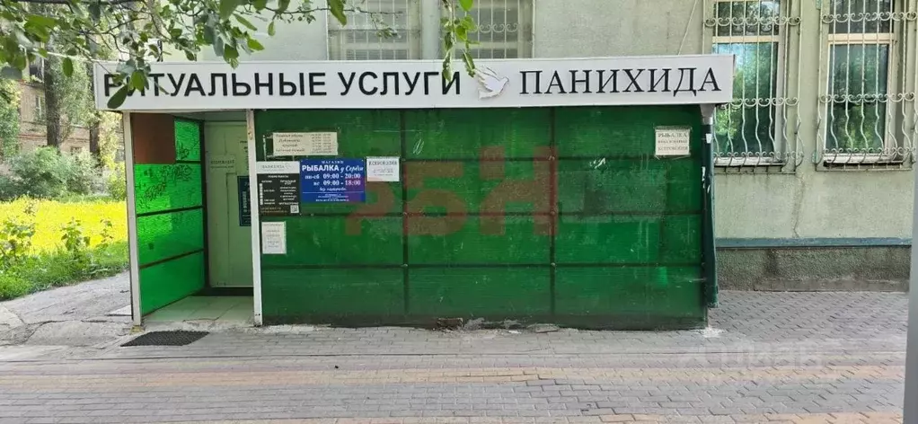 Помещение свободного назначения в Воронежская область, Воронеж ул. ... - Фото 1
