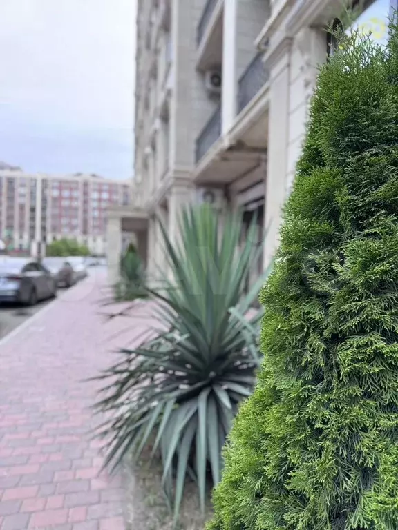 2-к. квартира, 75 м, 5/10 эт. - Фото 1