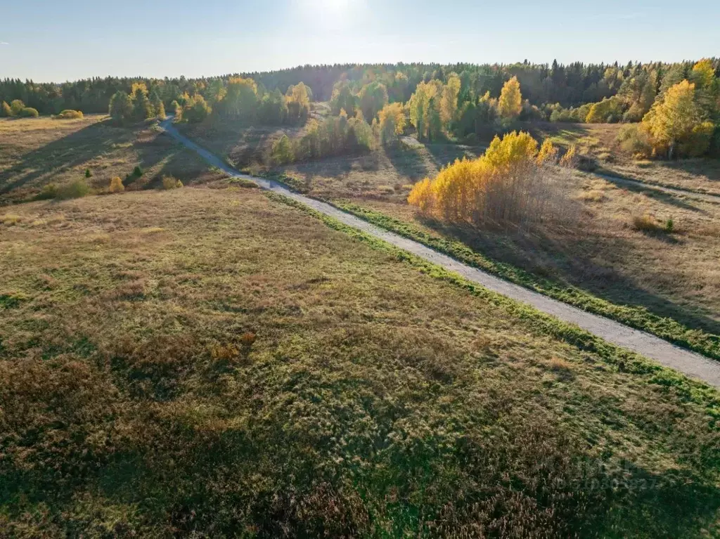 Участок в Карелия, Питкярантский муниципальный округ, пос. Ляскеля, ... - Фото 0