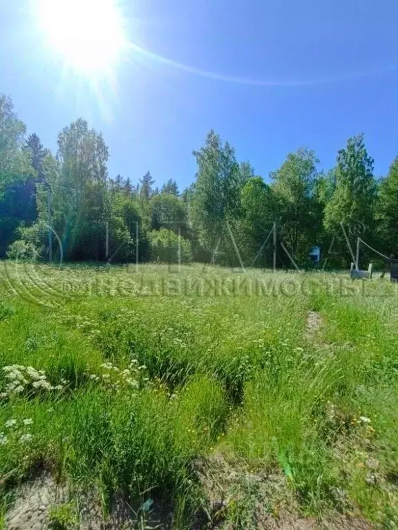 Участок в Ленинградская область, Выборгский район, Каменногорское ... - Фото 0