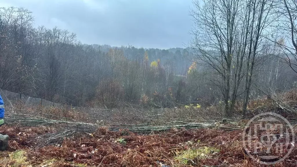 Участок в Ленинградская область, Всеволожский район, Токсовское ... - Фото 2