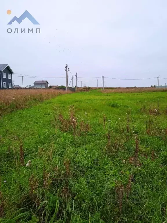 Участок в Вологодская область, пос. Харачево  (15.0 сот.) - Фото 0