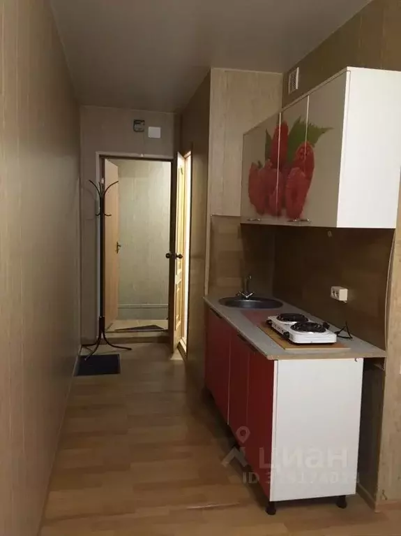 Студия Московская область, Раменский муниципальный округ, д. Дергаево ... - Фото 2