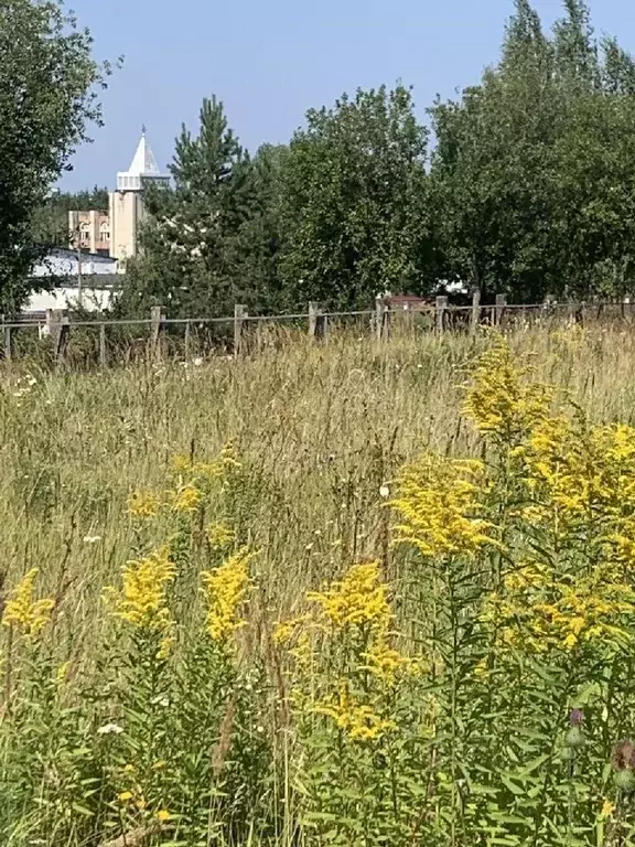 Участок в Нижегородская область, Кстовский муниципальный округ, с. ... - Фото 1