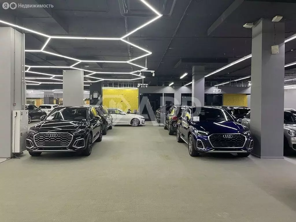 Помещение свободного назначения (350 м) - Фото 2