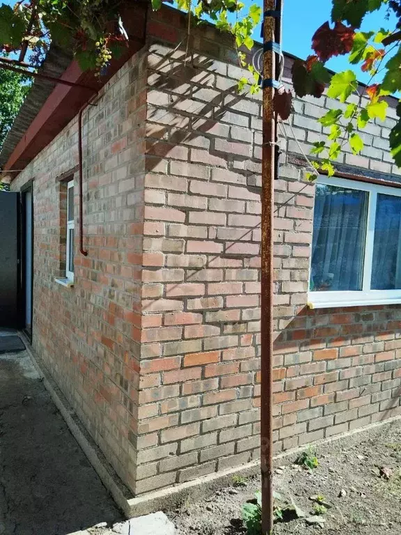 Дом в Ростовская область, Азовский район, Задонский хут.  (31 м) - Фото 1