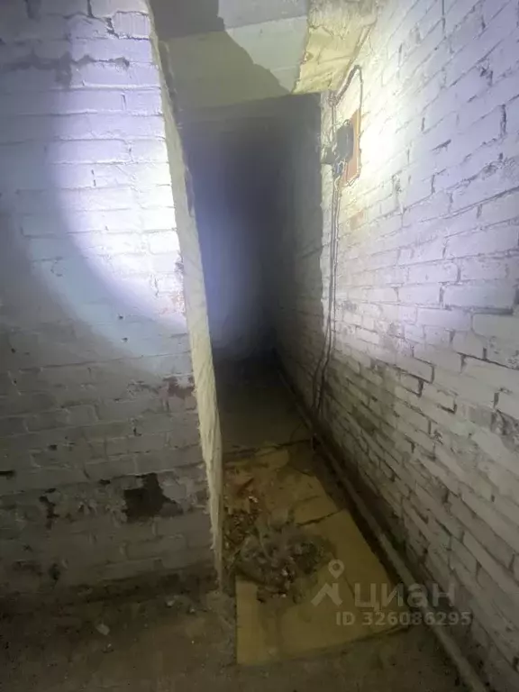 Помещение свободного назначения в Удмуртия, Сарапул ул. Раскольникова, ... - Фото 1