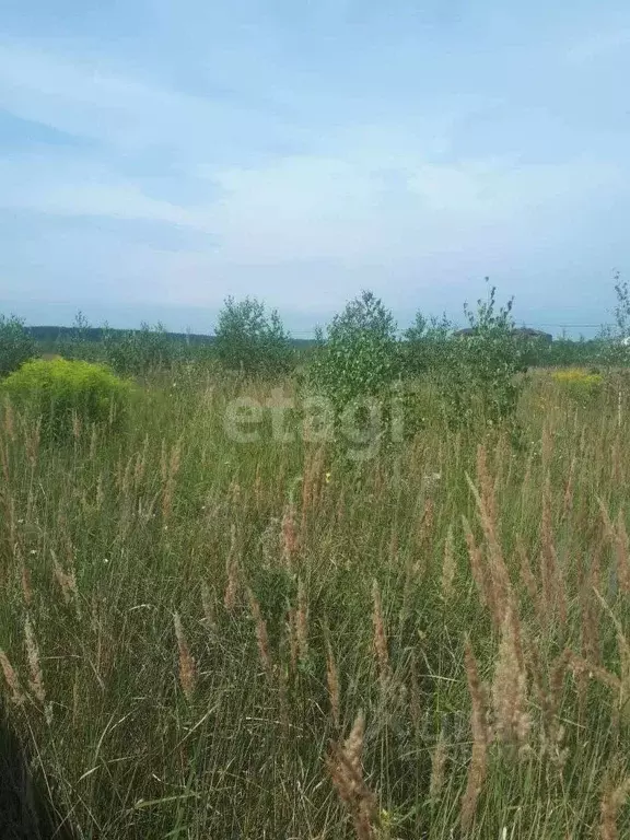 Участок в Владимирская область, Муром д. Орлово, ул. Советская (8.0 ... - Фото 1