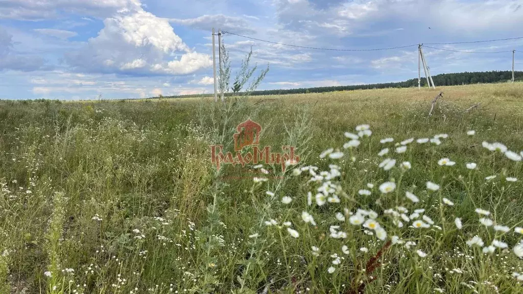 Участок в Владимирская область, Александровский район, Каринское ... - Фото 0