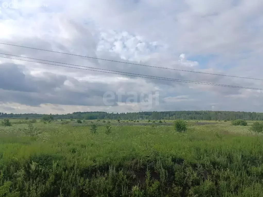 Участок в Владимирская область, Петушинский муниципальный округ, ... - Фото 1