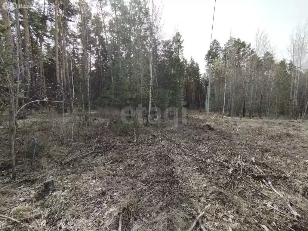 Участок в Курганская область, Кетовский муниципальный округ, село ... - Фото 2