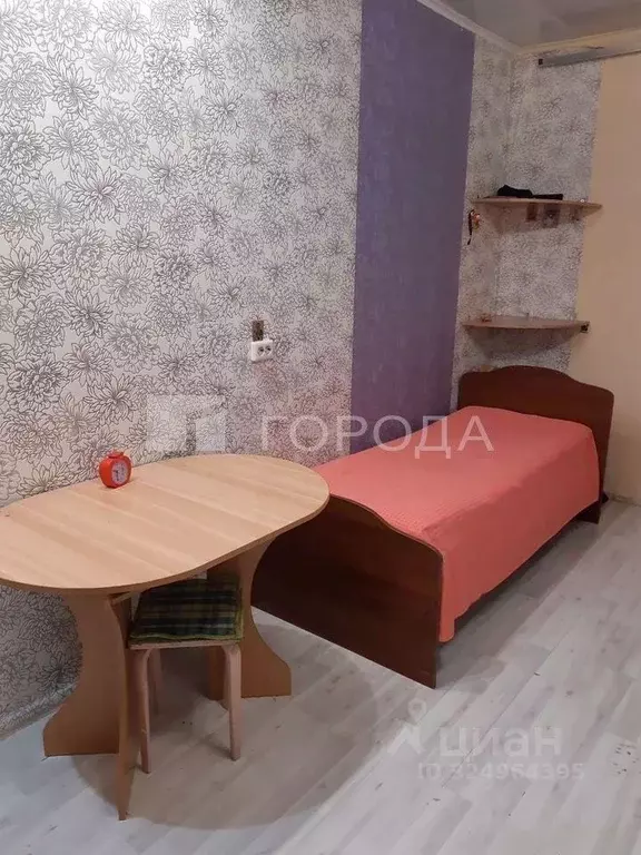 Студия Новосибирская область, Новосибирский район, Каменский ... - Фото 1