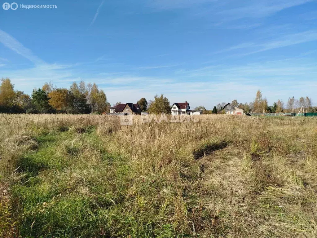 Участок в Ивановский район, Новоталицкое сельское поселение, деревня ... - Фото 1