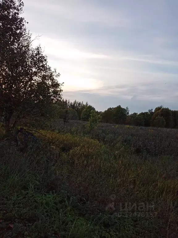 Участок в Ленинградская область, Ломоносовский район, д. Низино ул. ... - Фото 1