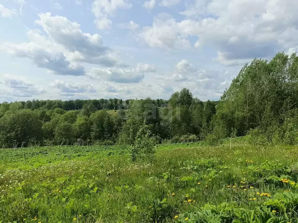Участок в Коми, Сыктывдинский район, с. Выльгорт  (10.0 сот.) - Фото 1